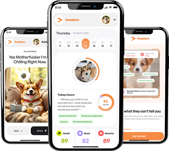 Mobile App